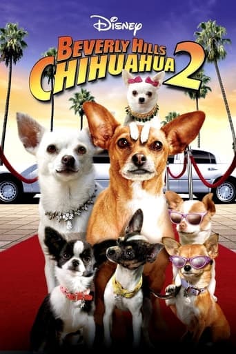 Le Chihuahua de Beverly Hills 2
