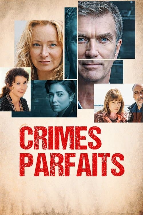 Crimes parfaits • Vf Streaming • En Français